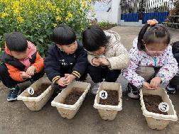 2023.3.24【生活燕幼·园区动态】燕幼中心园：春分时节到，春华春意浓——中一班春分节气活动_html_62964d76.jpg