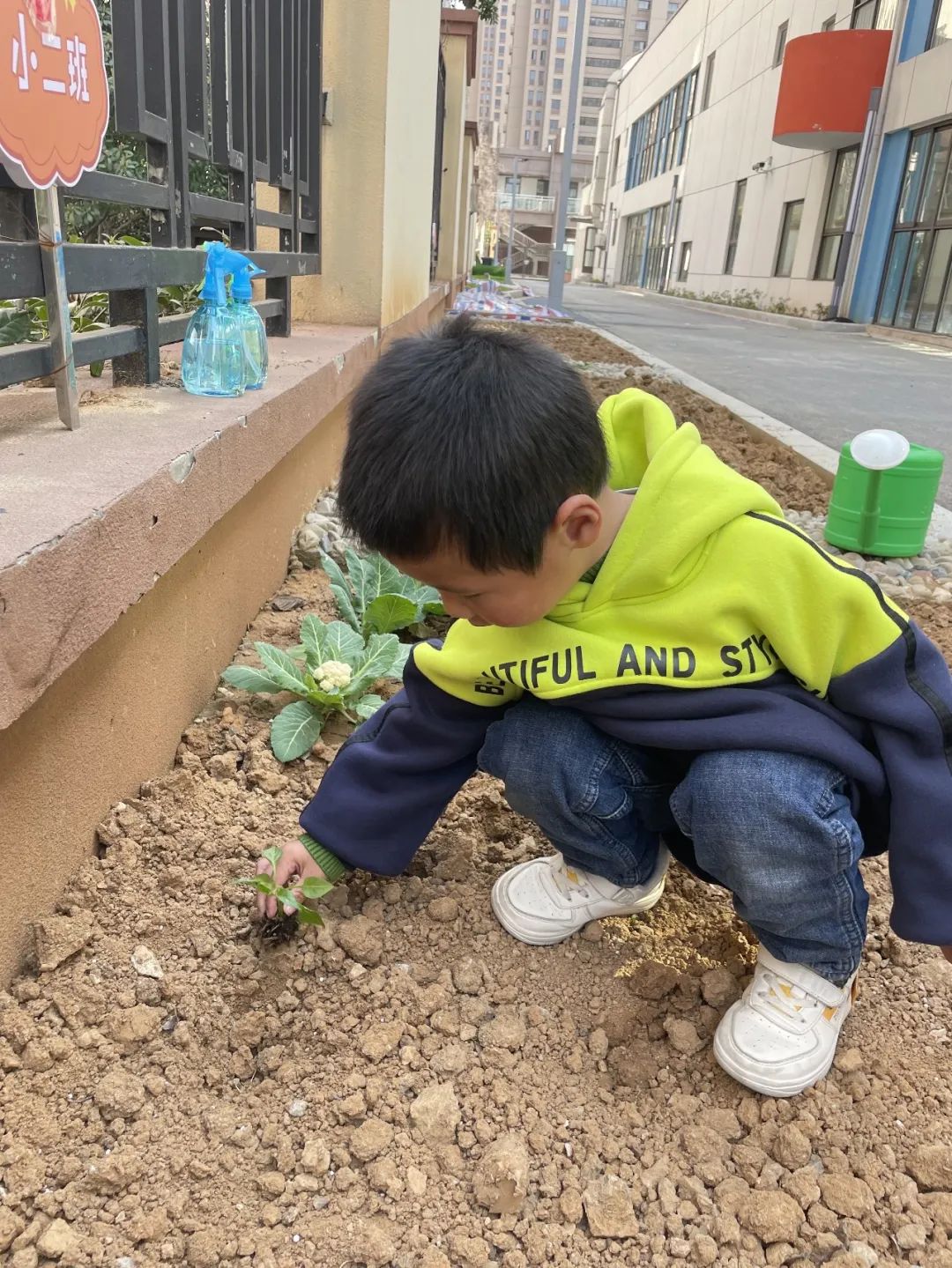 20230328【生活燕幼·园区动态】燕鸣苑分园：趣探惊蛰 万物新生——记小二班惊蛰节气活动_html_28b4ac90.jpg