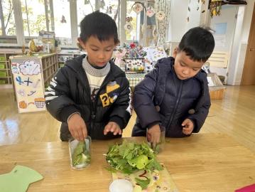 【生活燕幼·园区动态】下庙分园：“大雪至，寒冬始”——大雪节气活动_html_m432dec5a.jpg