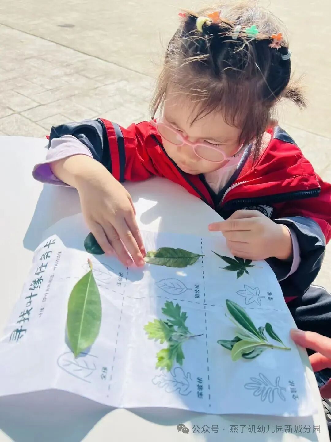 20251024【生活燕幼·园区动态】新城分园:秋游_html_6796c829.jpg