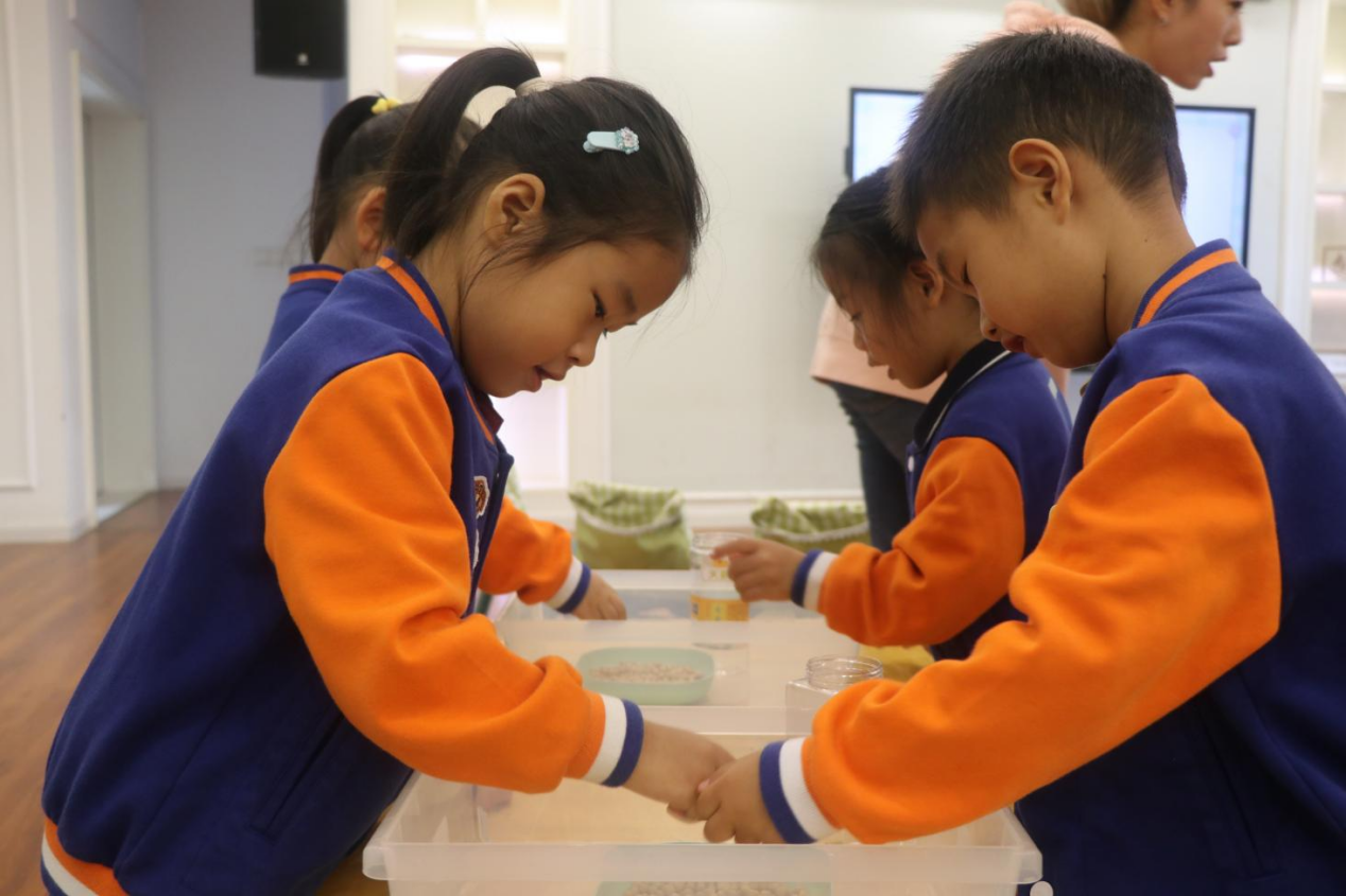 20241018新城分园承办栖霞区课程建设项目组与赵青名师工作室联合教研活动_html_7b255620.png