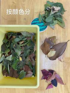 年级组动态_html_m9b8402b.jpg