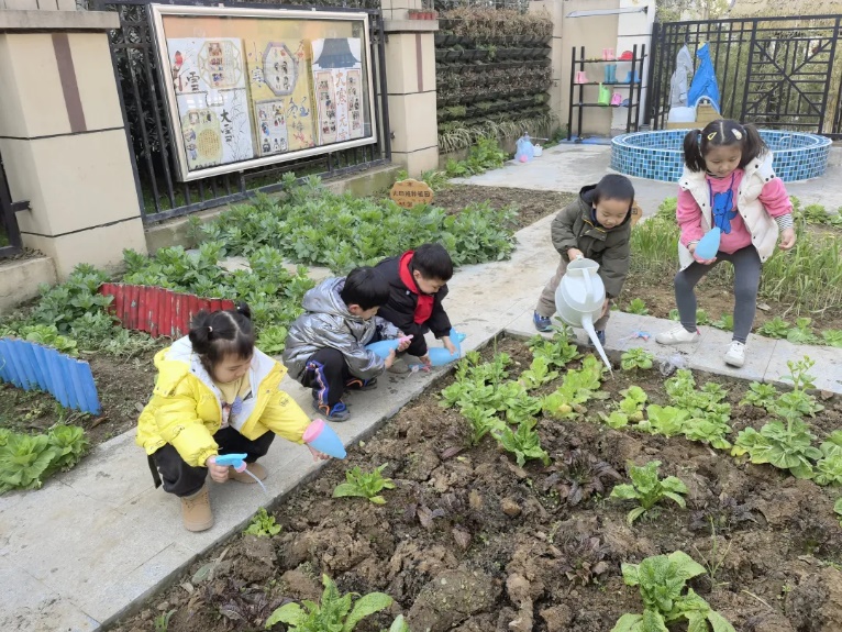 20230312新城园种植月破土日活动_html_m213af31.jpg