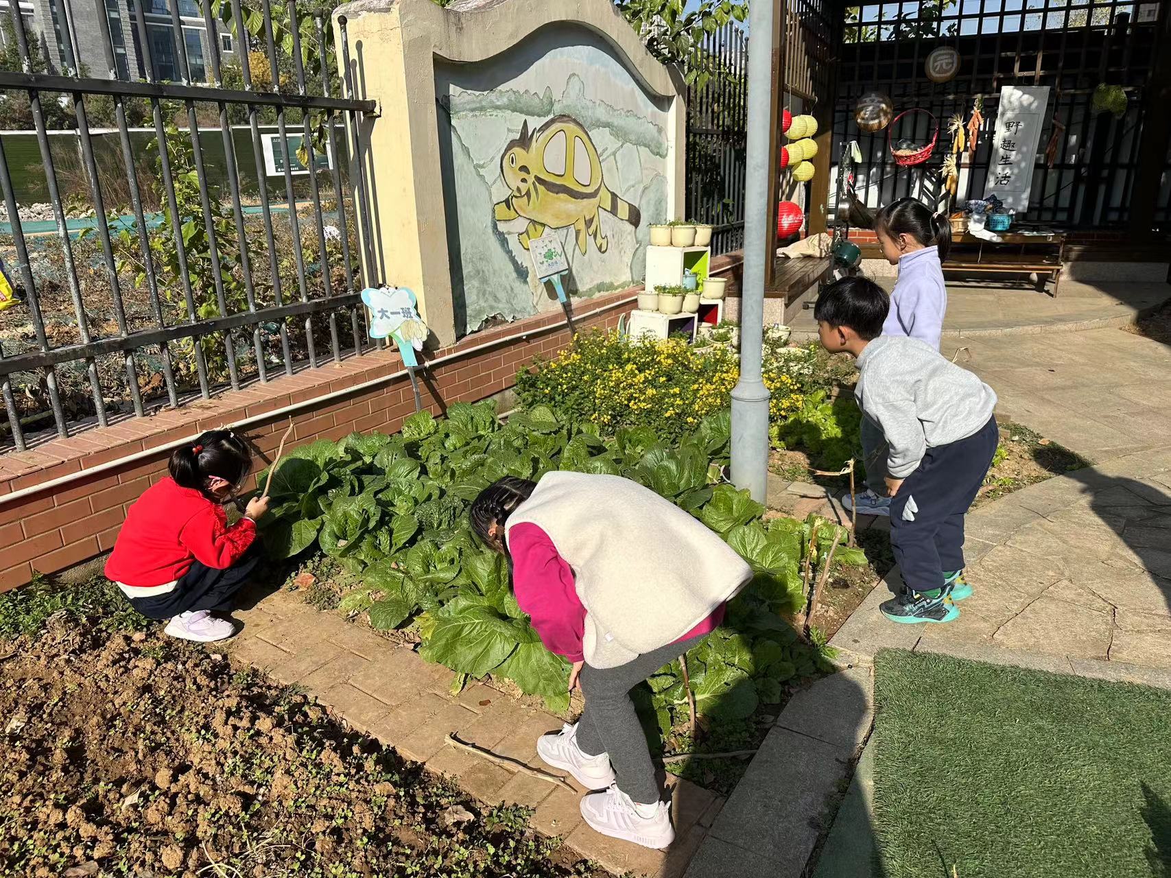20231122【生活燕幼·园区动态】下庙分园：“轻盈小雪至，童心暖寒冬”——小雪节气活动_html_108a2045.jpg