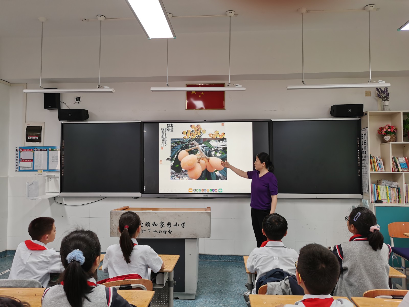 【养正颐小·德育】琵琶满林  校园满情  ——颐小枇杷节采摘活动