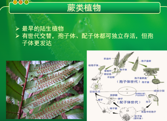 新闻稿_html_3c11026f.png