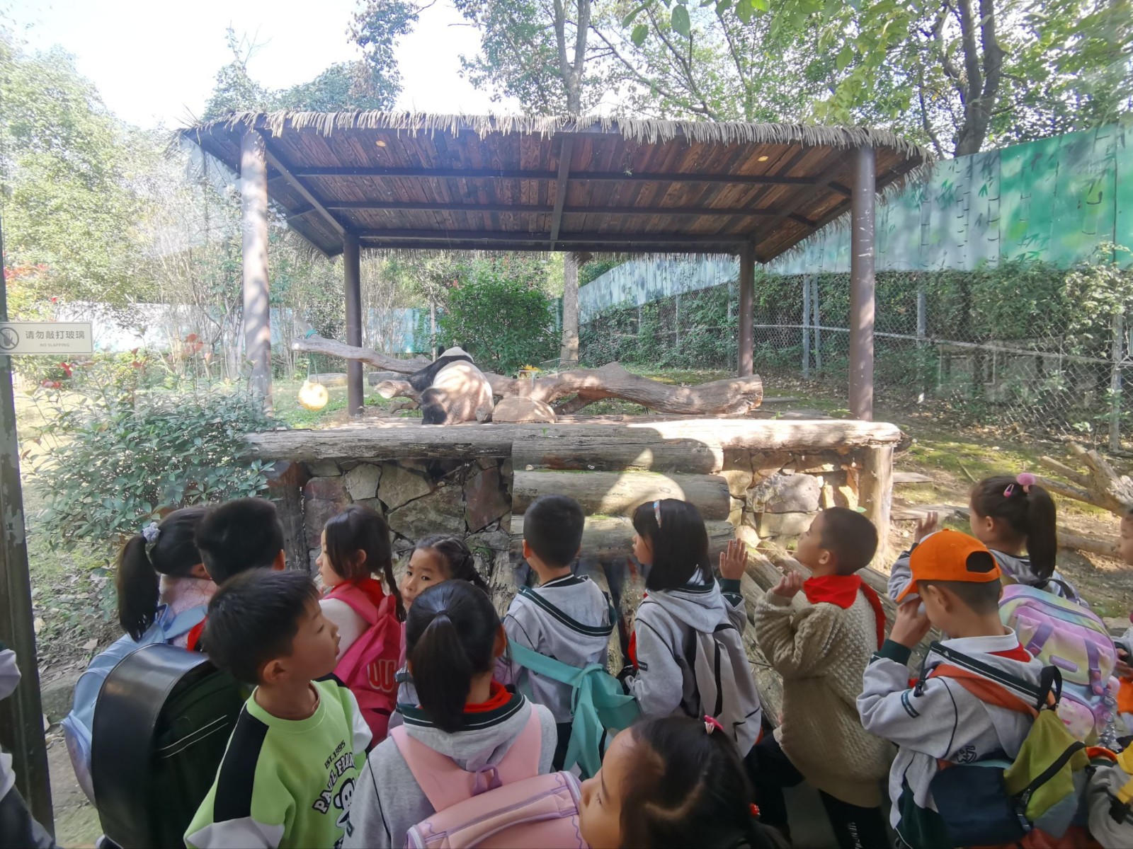 一二年级 (7).jpeg