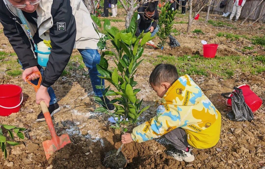 （乐动马幼）【温暖同行】种植月——嘭 嘭 嘭，小种子要发芽