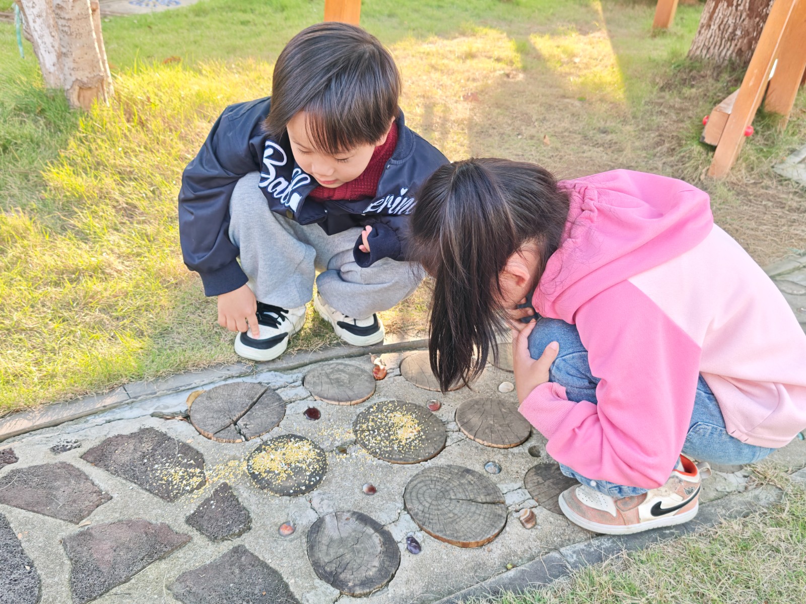 IMG_20251113_152035.jpg IMG_20251113_152035.jpg