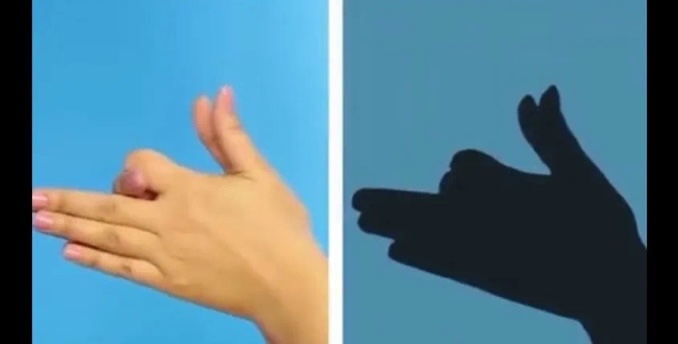 狗.jpg