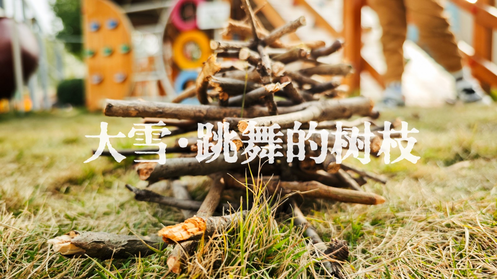 MEITU_20241203_115957707.jpg