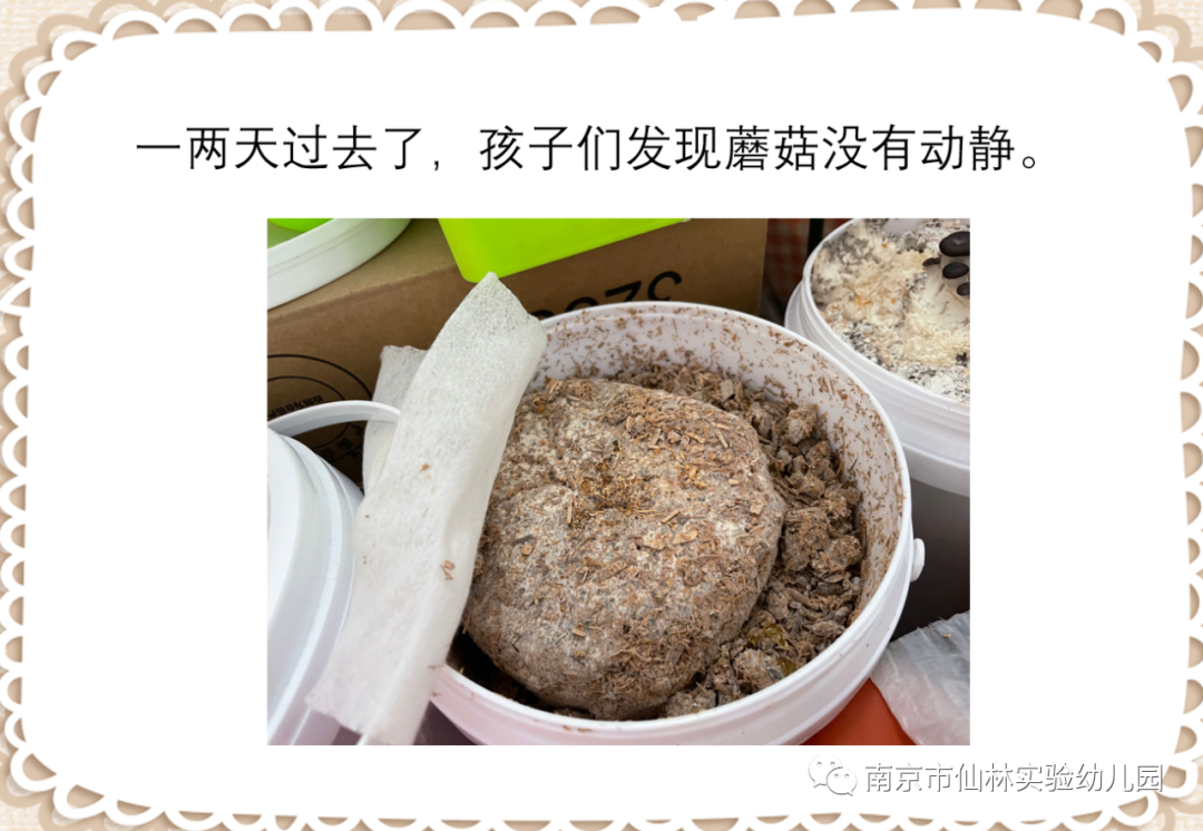 微信图片_20210423133808.png