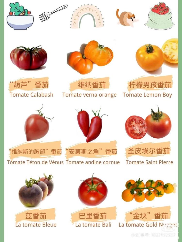 微信图片_20230329124009.jpg