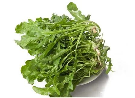 荠菜.jpg