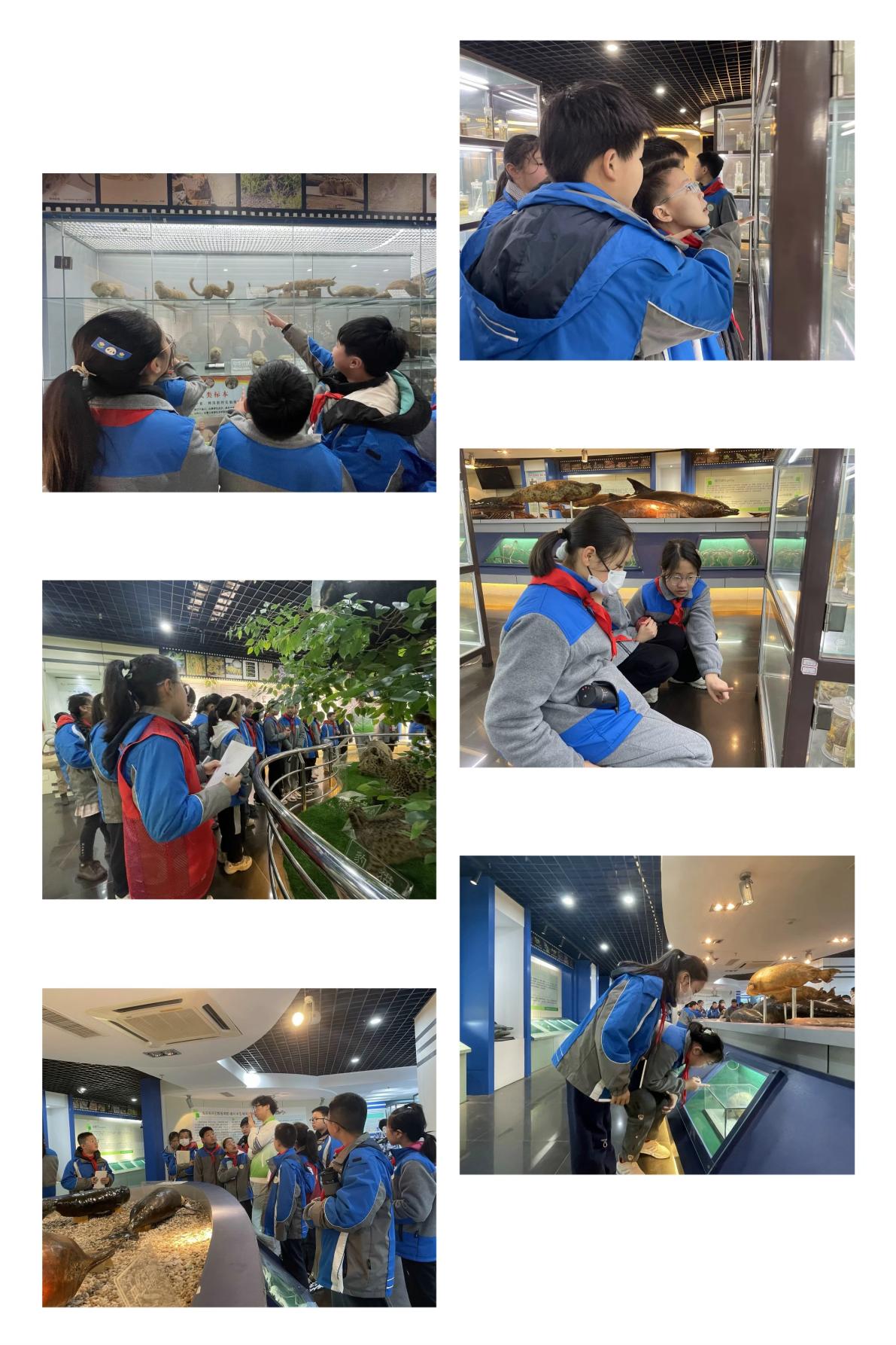 社会实践新闻稿_html_m12d20081.jpg