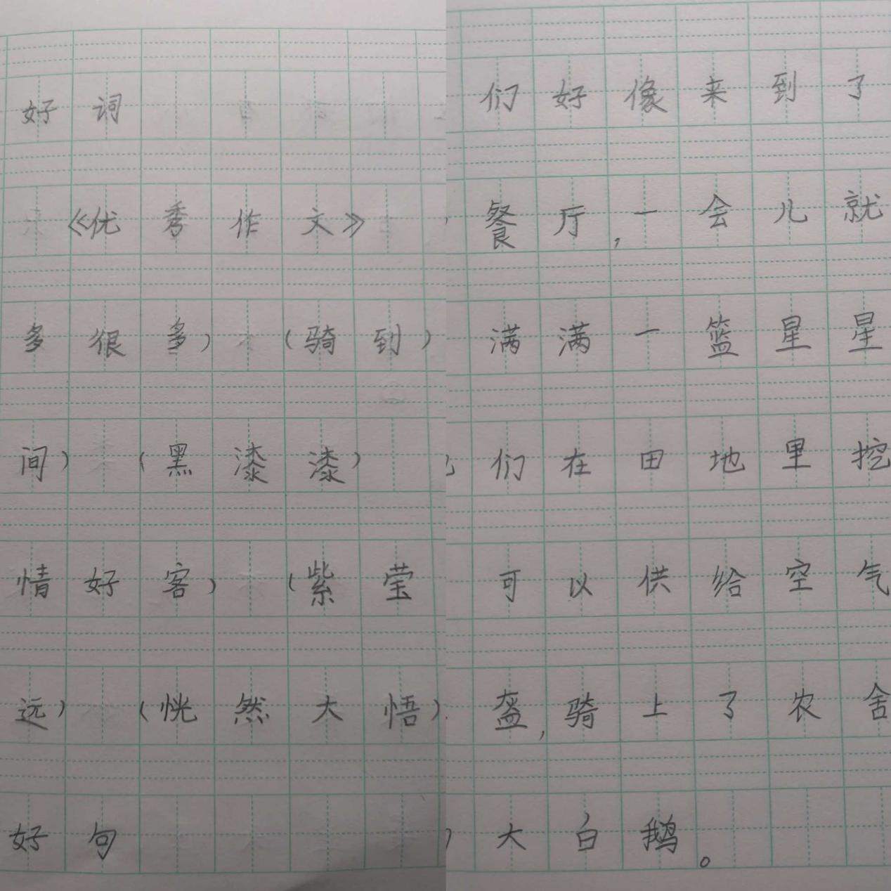 【大爱青秀·停课不停学】书香致远，读立芳华_html_40bbd7dc.jpg