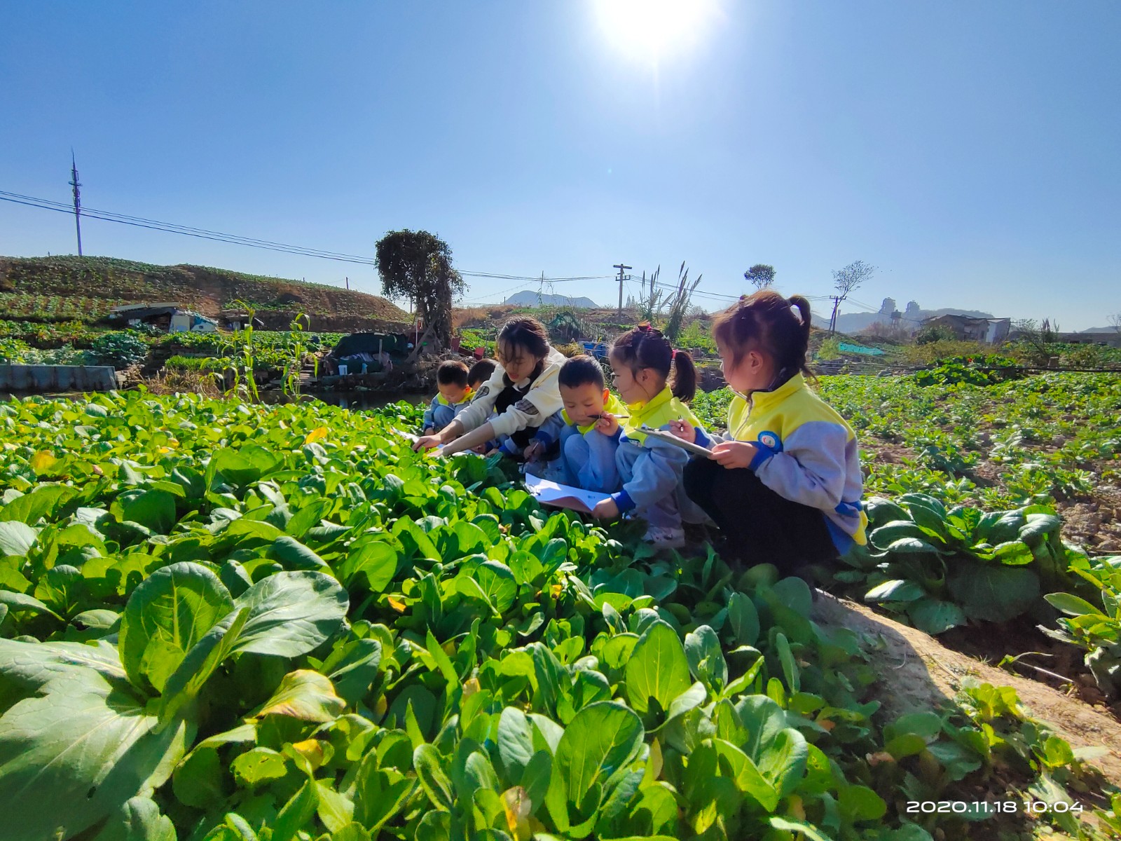 【乐活龙幼】远足写生 畅游秋天——记龙潭幼儿园龙岸二园中班年级组社会实践活动