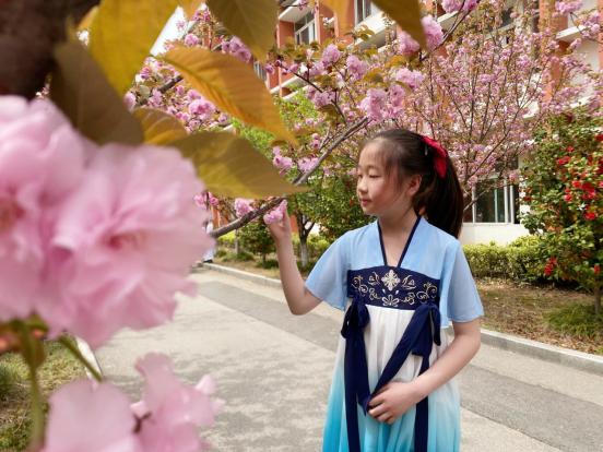20210407樱花节活动报道_html_3f384350.jpg