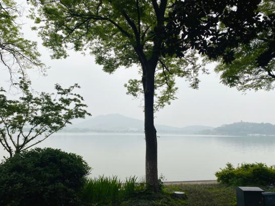 20210416游玄武湖新闻报道_html_310839b.jpg
