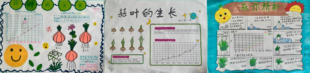 20240412五年级数学实践活动报道_html_3358aa80.jpg