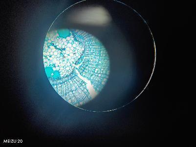 20250312植树节活动_html_136e2edc.jpg