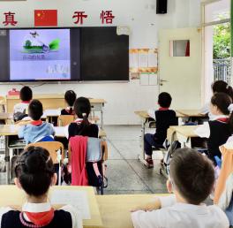 20210521栖生态垃圾分类环保班会课报道_html_40c22162.jpg