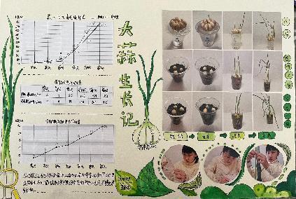 20250425五数数学实践活动蒜叶成长记吉康写_html_m71911bb9.jpg
