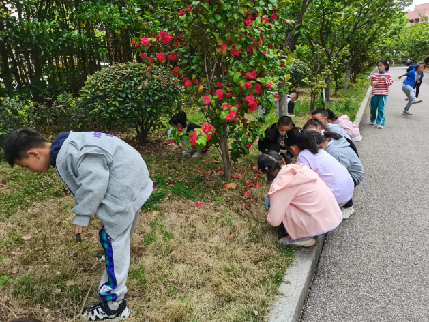 20230427班会报道_html_683399df.png