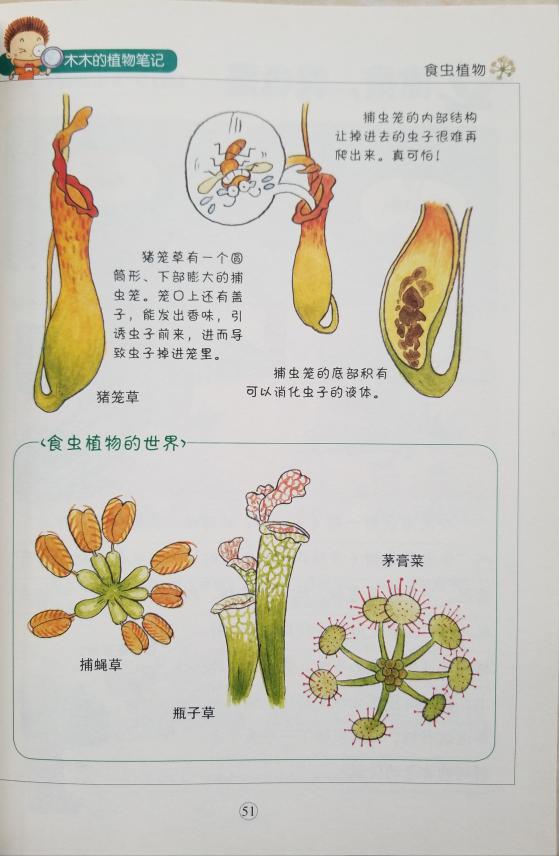 南湾营小学图书馆2023年5月好书推荐报道_html_m7225d762.jpg