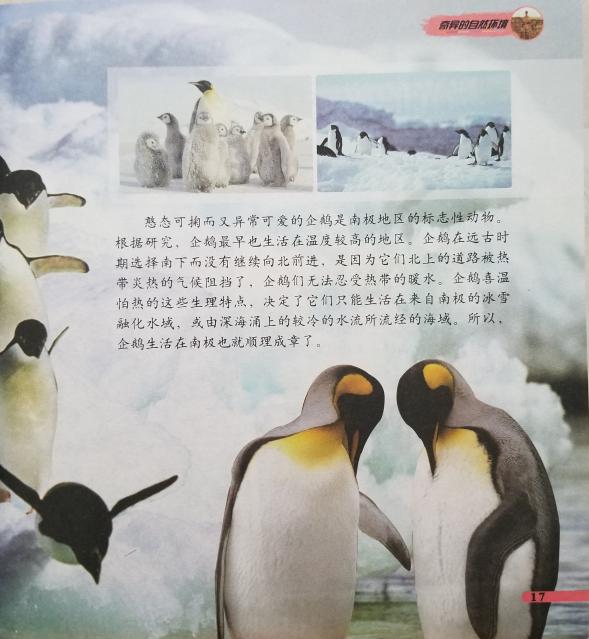 南湾营小学图书馆2023年6月好书推荐_html_m3bca7765.jpg