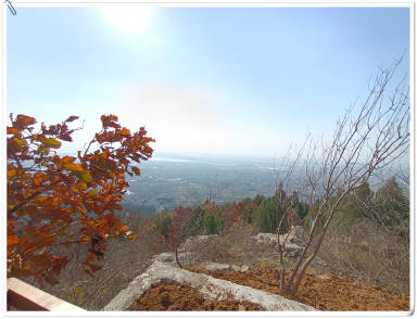 张哲修 (2).jpg