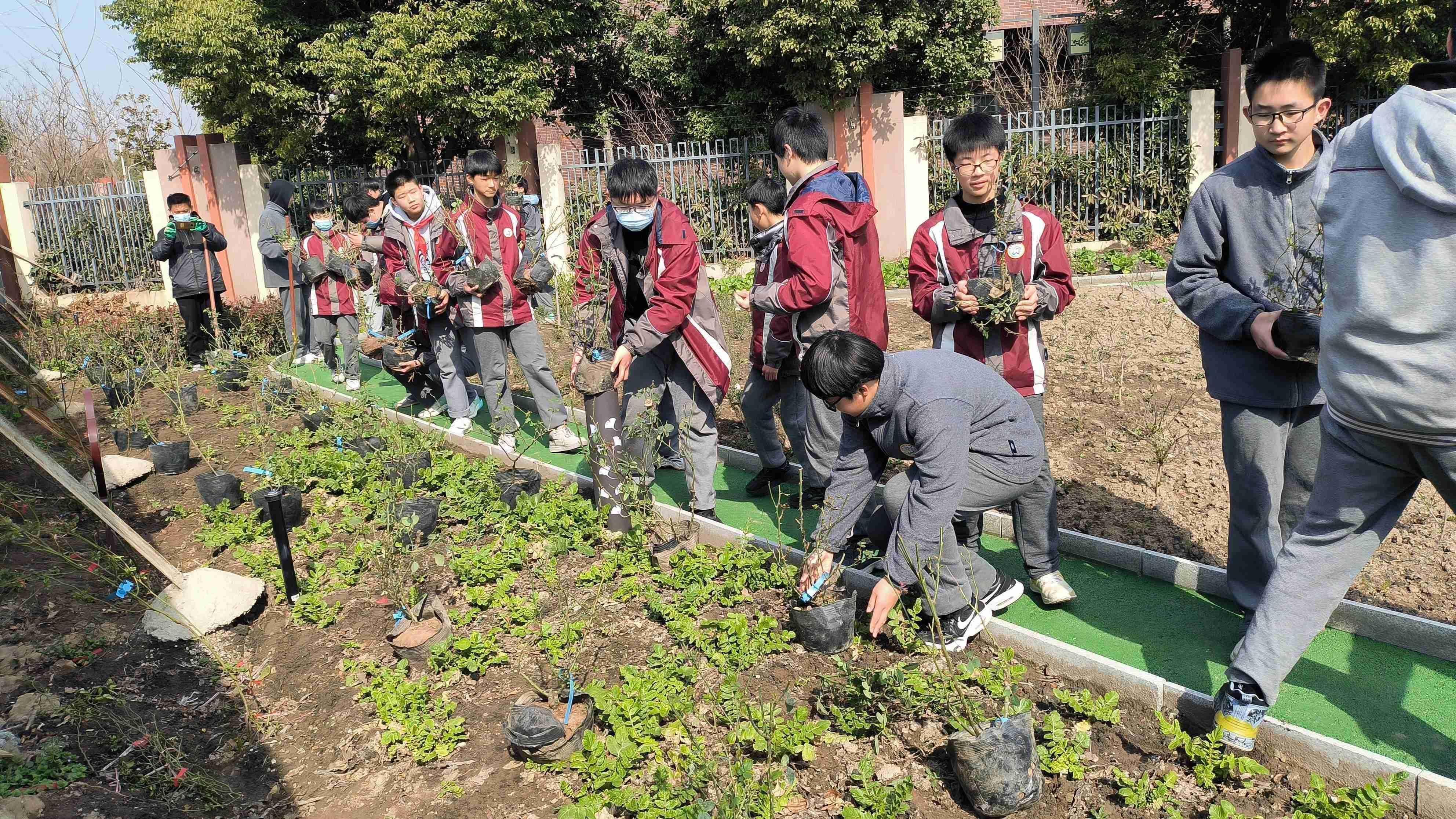 【臻美花中 花样劳动】阳春布德泽，静待花开时——南京市园中学开展月季种植活动_html_104d1187.jpg