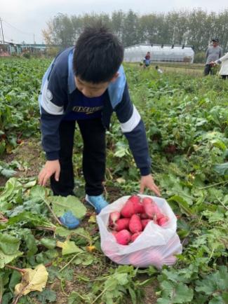 展厨艺  增技能  慧生活_html_m67dd9a09.jpg