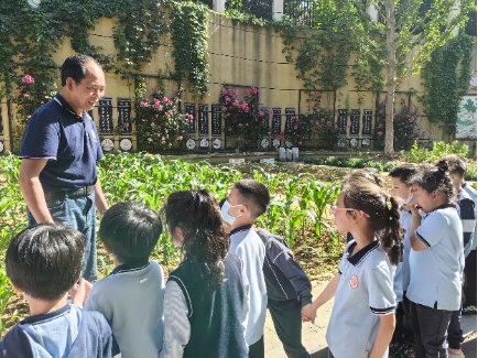 20240529劳动践于行，美德润于心——南京市晓庄小学小农场劳动实践系列课程(1)531.png