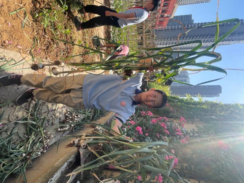 20240517“劳”以启智  “动”以润心(1)_html_762739d6.jpg