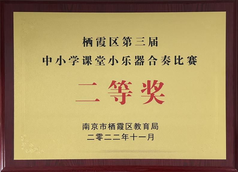 南京市晓庄小学音乐校级社团招新啦_html_a81d21d.jpg