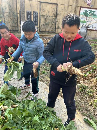 20231212快乐拔萝卜 喜获大丰收(1)_html_ma001c44.jpg