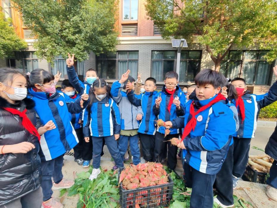 四年级5班拔萝卜劳动课堂新闻稿 _html_m5947807.jpg