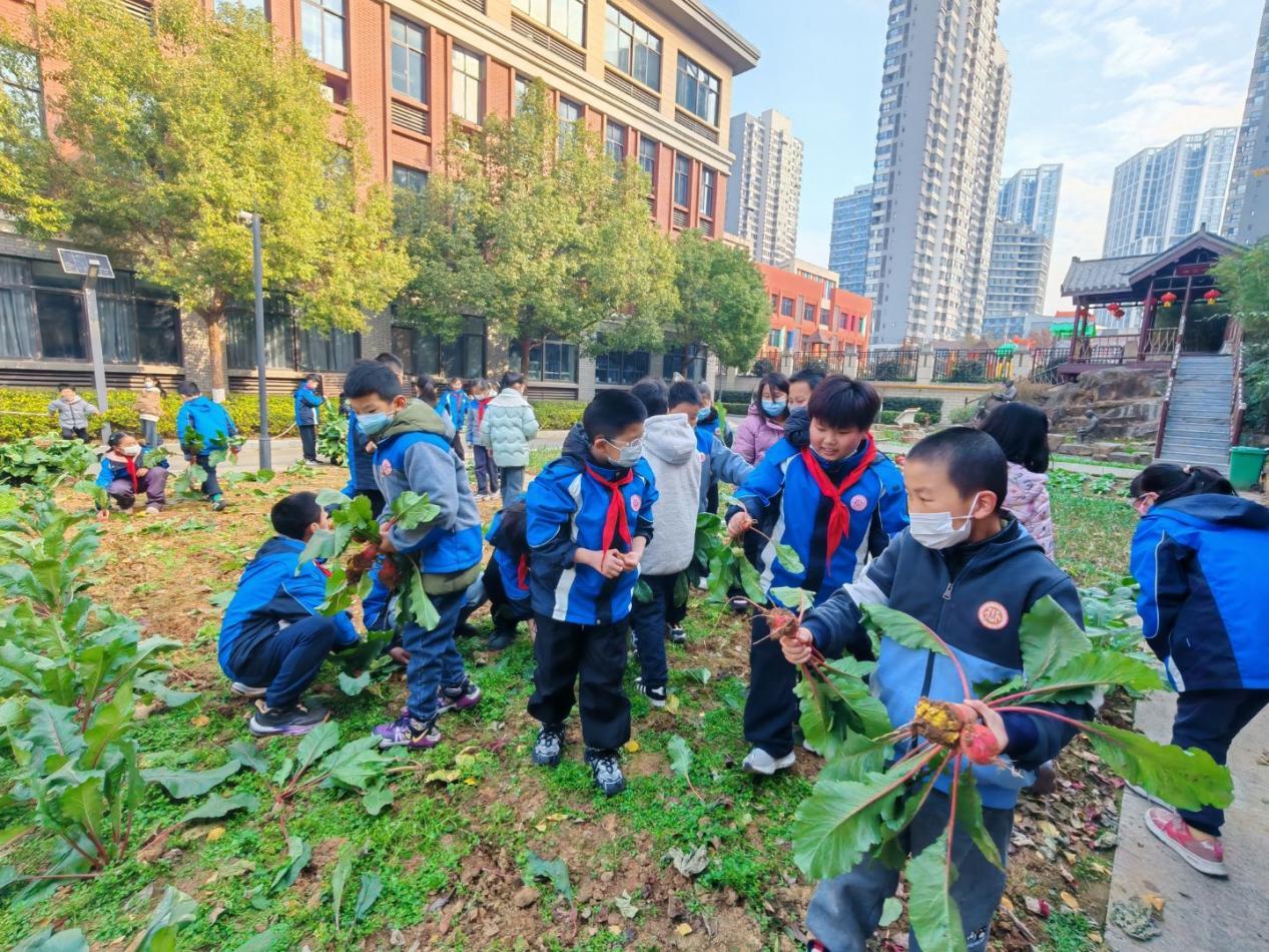 四年级5班拔萝卜劳动课堂新闻稿 _html_m55e9d25b.jpg