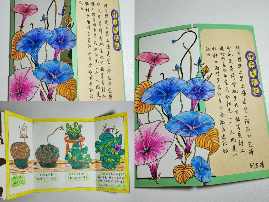一6班暑期长程作业_html_m5f22de10.jpg