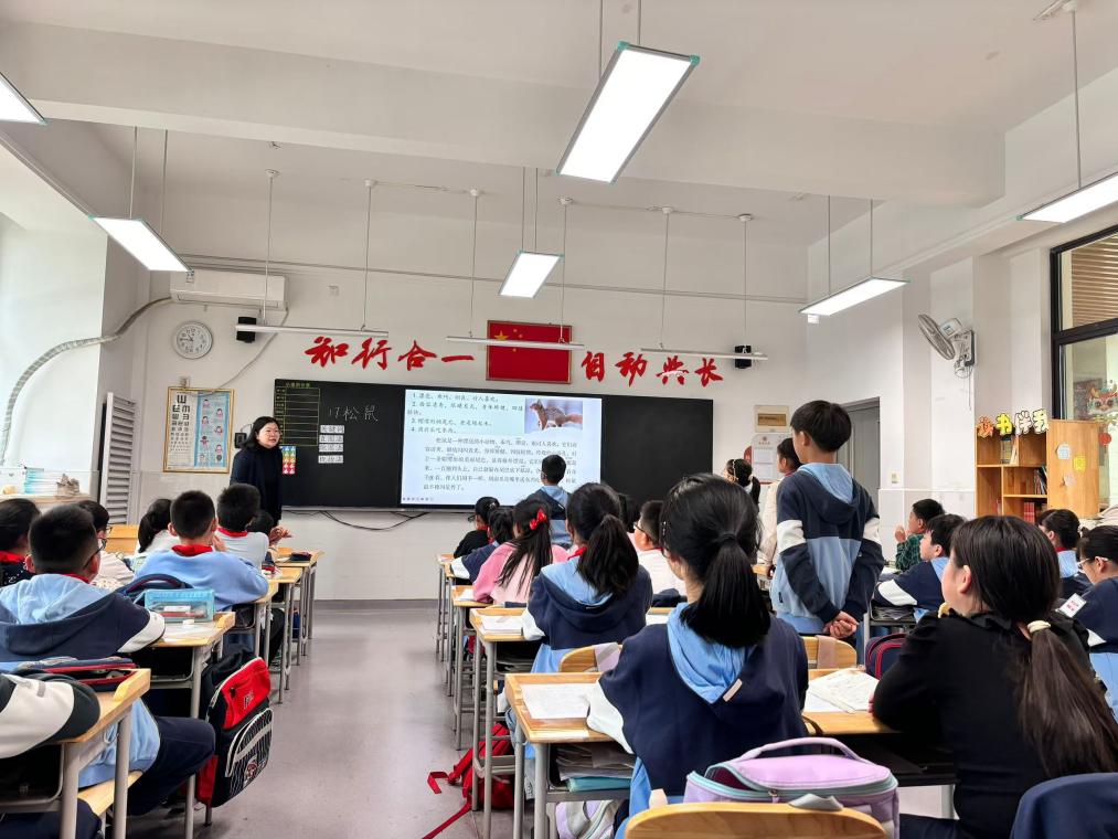 20241203南京市晓庄小学11月教育教学简报_html_1177635.jpg