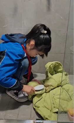 20240224喜迎中国年 陶娃爱劳动_html_m6af2885a.png