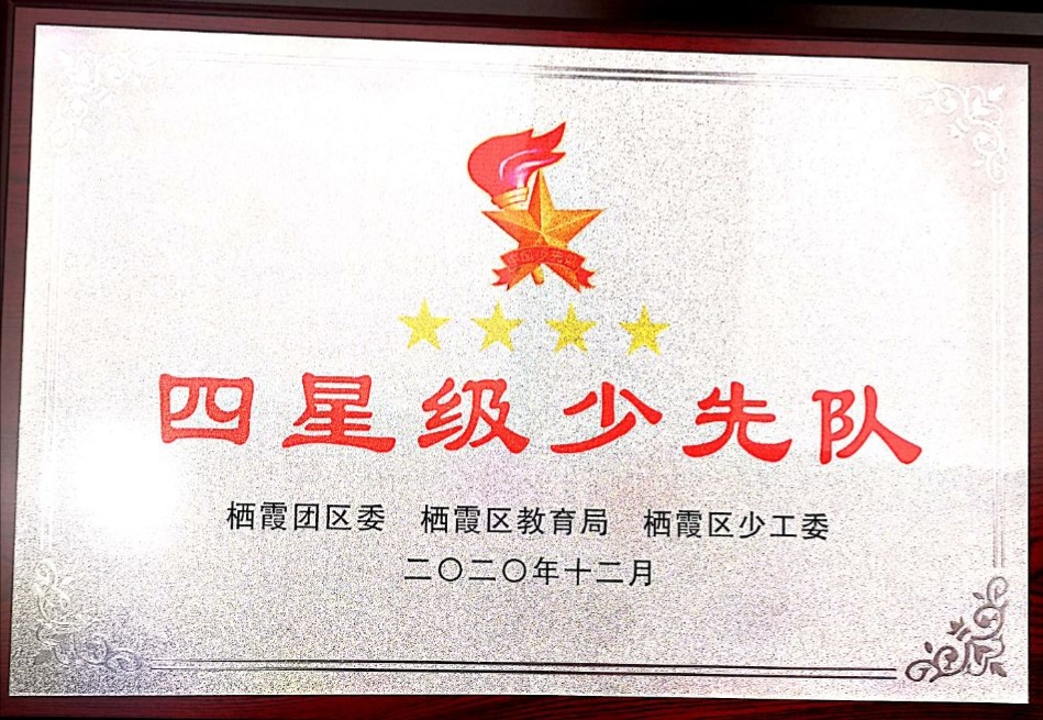 【雅韵靖小】​喜报—靖安小学少先队