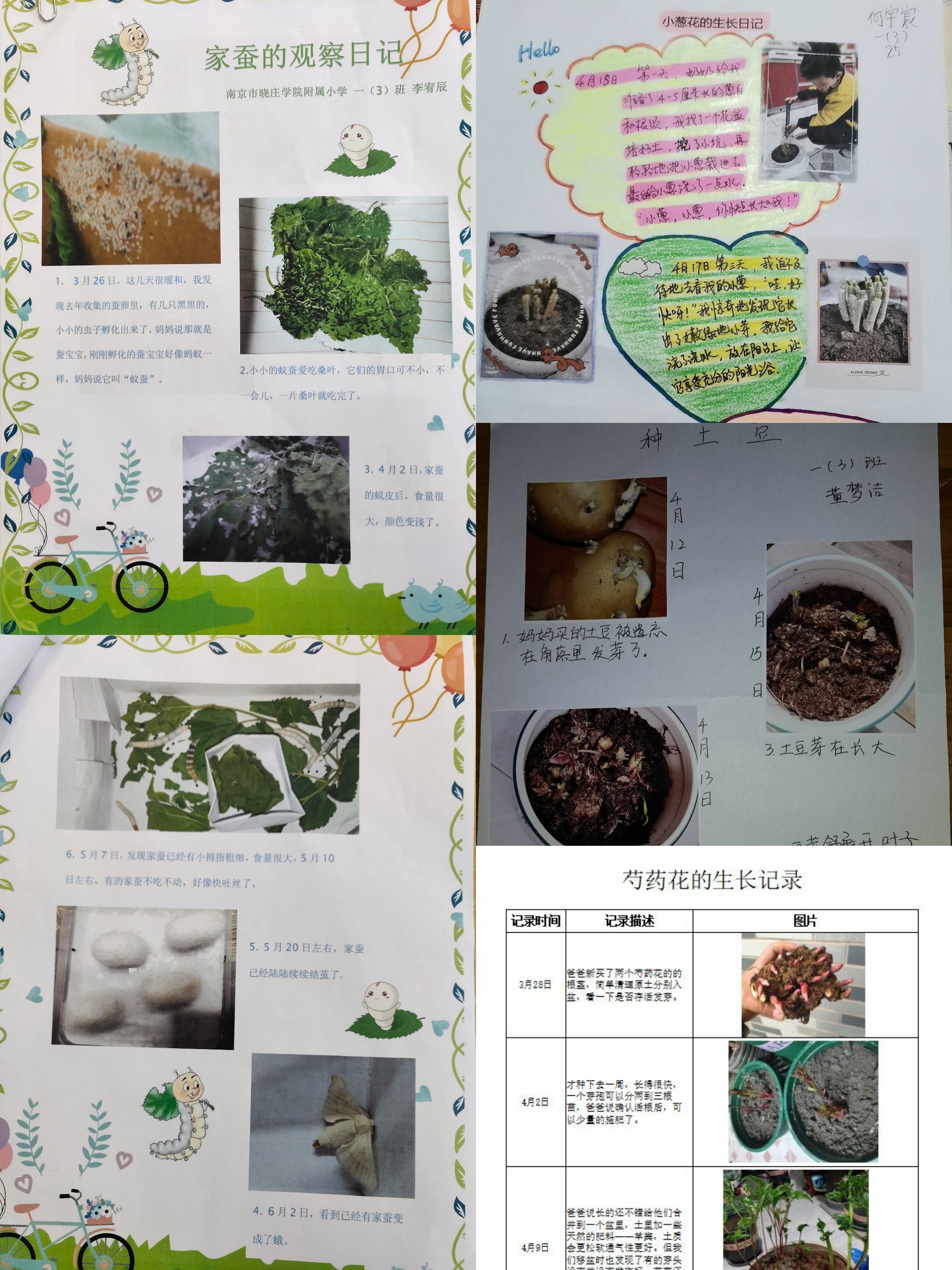 2021年星光科技节——一(3)班_html_74e1117a.jpg