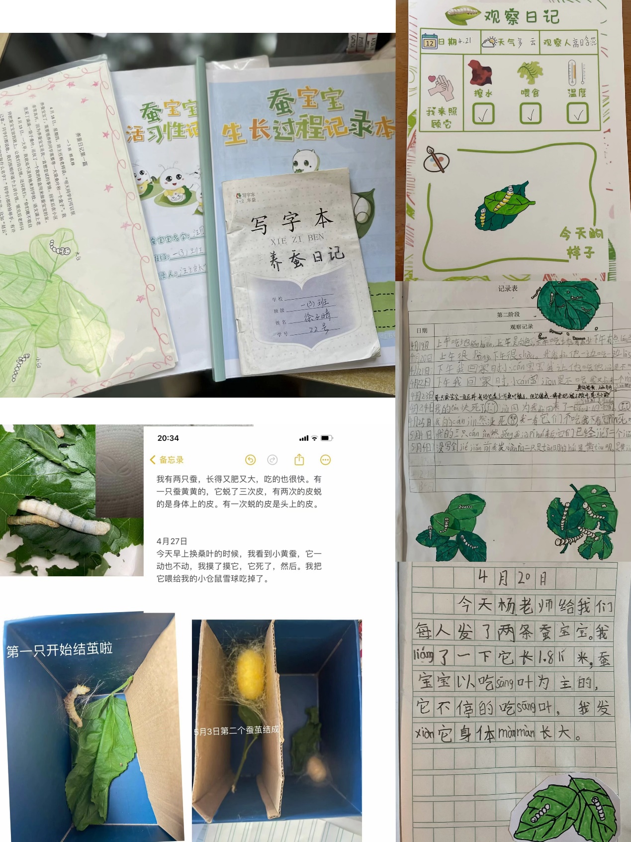 养蚕记(1)_html_m6e031fe4.jpg