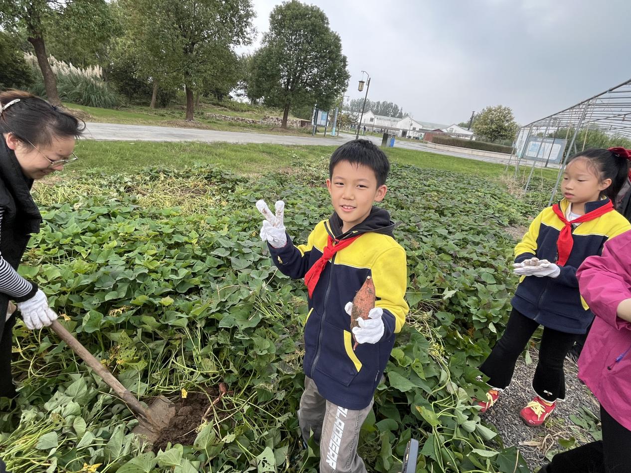 赴一场田园之约，做快乐小农夫——晓院附小三（2）班农耕体验活动2025.10(1)_html_e4880ec.jpg