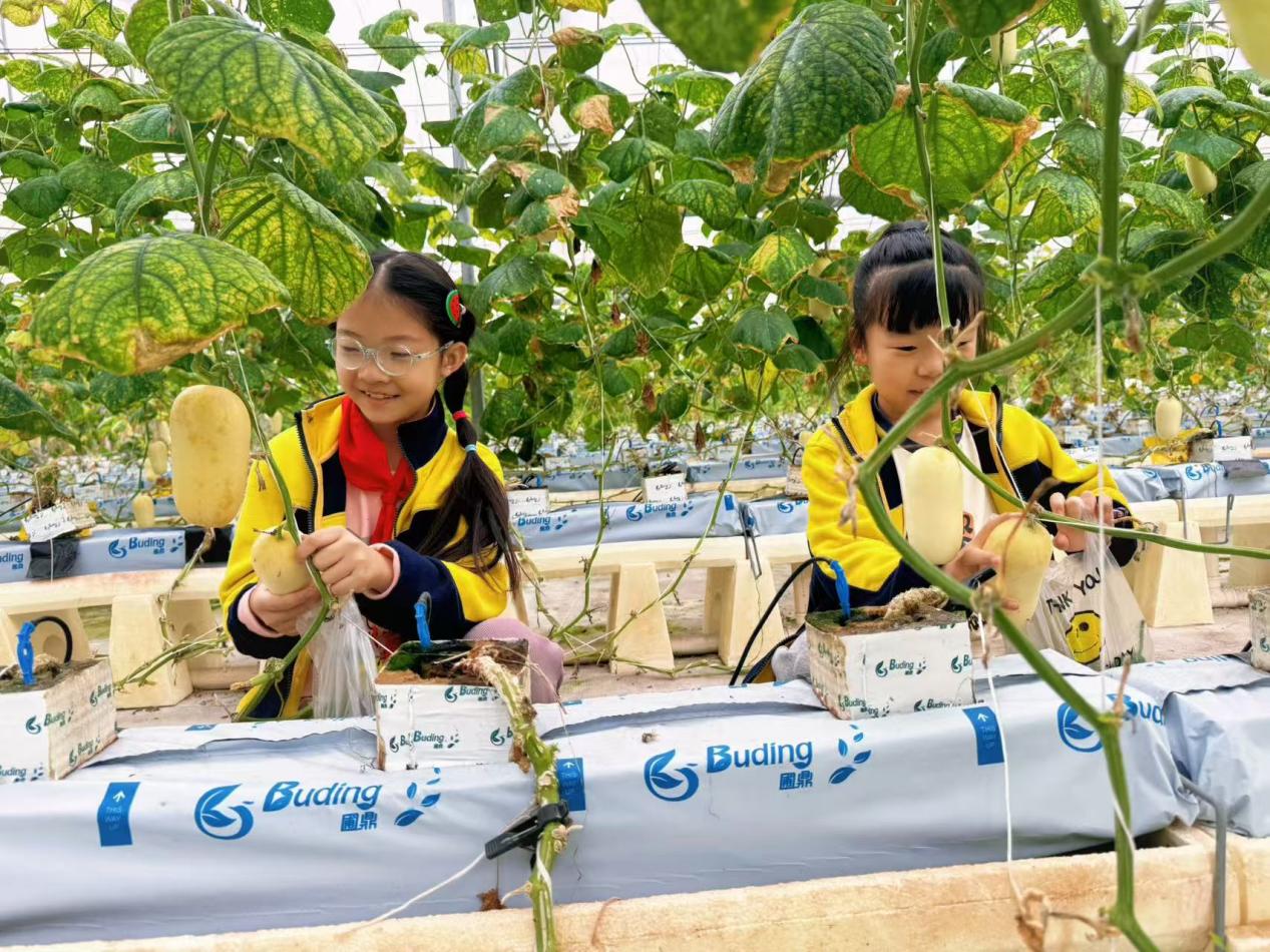 赴一场田园之约，做快乐小农夫——晓院附小三（2）班农耕体验活动2025.10(1)_html_4ea14576.jpg