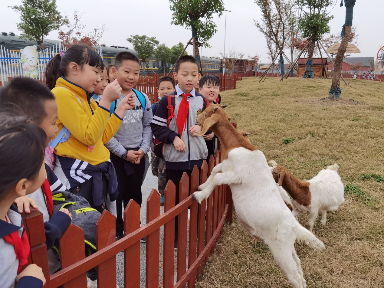 秋游记事_html_519c3818.jpg