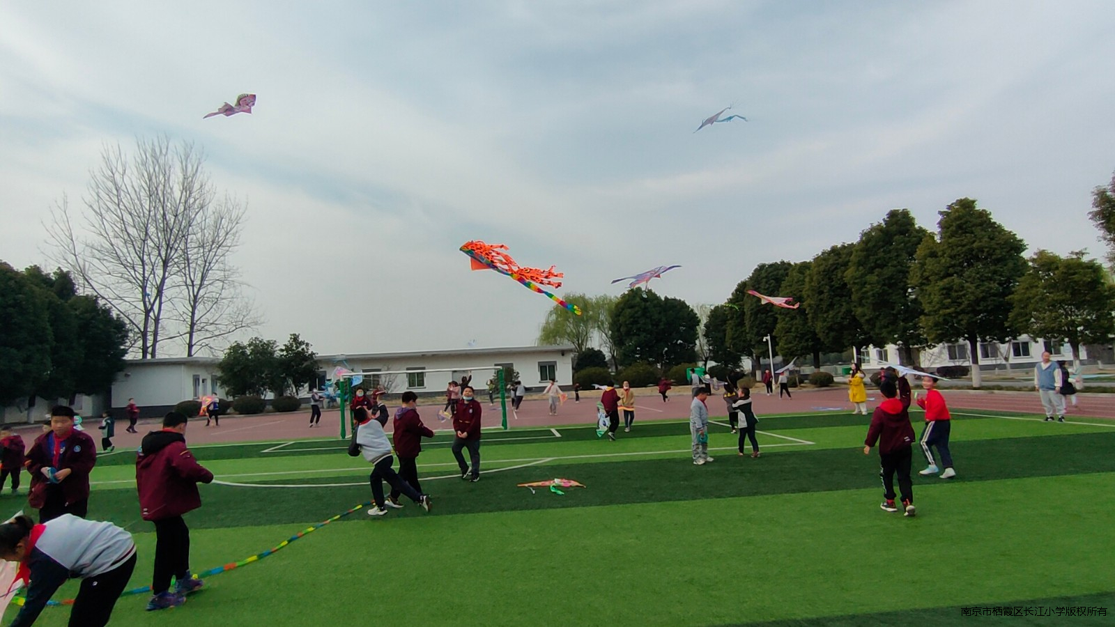 IMG20230308100001_01.jpg
