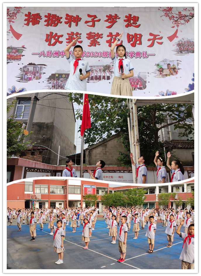 【馨惠中小】播撒种子梦想，收获繁花明天——八卦洲中桥小学2020年秋季开学典